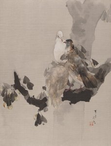 Tauben in einem Baum, ca. 1887 von Watanabe Seitei