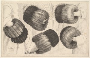 Ein Muff in fünf Ansichten, 1645-46 von Wenceslaus Hollar