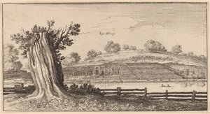 Albury von Wenceslaus Hollar