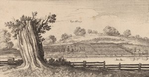 Albury, 1645 von Wenceslaus Hollar