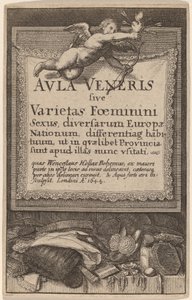 Aula Veneris: Titelseite von Wenceslaus Hollar