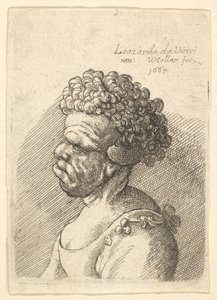 Büste einer deformierten Frau mit lockigem Haar im Profil nach links von Wenceslaus Hollar