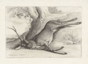Erschossenes Reh (Serie: Jacht, jachthonden en wild) von Wenceslaus Hollar