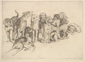 Elf Jagdhunde von Wenceslaus Hollar