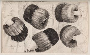 Ein Muff auf fünf verschiedene Arten gesehen von Wenceslaus Hollar
