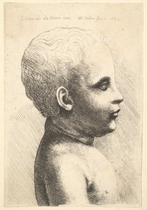 Kopf und Schulter eines Kindes, im Profil nach rechts, 1645