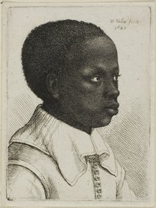 Kopf eines jungen schwarzen Jungen im Profil nach rechts von Wenceslaus Hollar