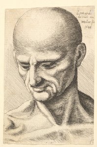Kopf eines kahlen, sehnigen Mannes, der nach unten schaut, 1648