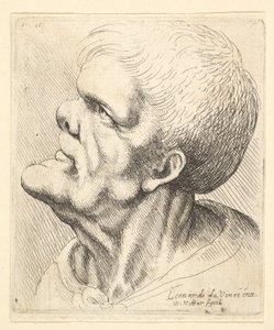 Kopf eines Mannes mit vorstehendem Kinn und Stupsnase, der nach oben links schaut, 1625-77