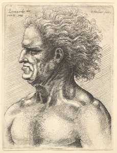 Kopf eines muskulösen alten Mannes im Profil nach links mit fließendem Haar, 1625-77