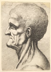 Kopf eines zahnlosen Mannes mit nacktem, sehnigem Hals im Profil nach links, 1648