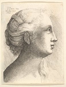Kopf einer jungen Frau im Profil nach rechts, 1645