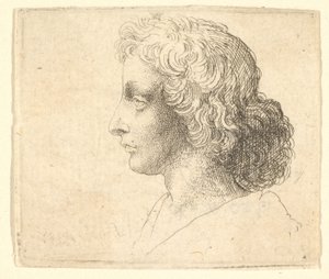 Kopf eines jungen Mannes mit langen Haaren im Profil nach links, 1644-52