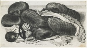 Muffs und Kleidungsstücke auf einem Tisch, 1647 von Wenceslaus Hollar