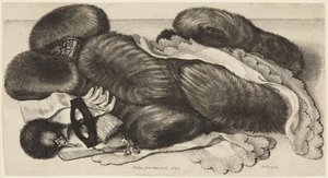 Muffe und Putz von Wenceslaus Hollar