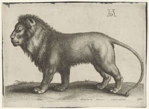 Stehender Löwe