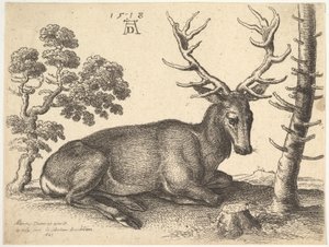 Hirsch, nach rechts liegend (1649)