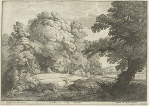 Die Brücke über den Wasserfall von Wenceslaus Hollar