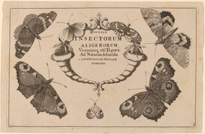 Titelseite von Wenceslaus Hollar