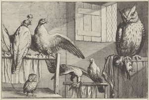 Falken und Eulen in einer Scheune