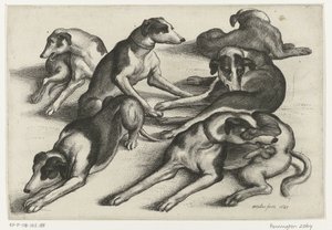 Sechs liegende Jagdhunde von Wenceslaus Hollar