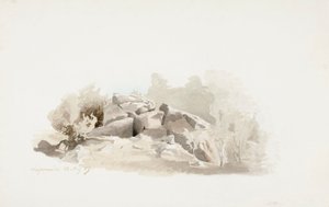 Zerklüfteter Felsvorsprung umgeben von Büschen von Werner Holmberg