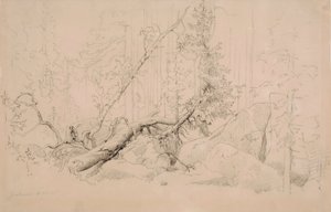 Ohne Titel von Werner Holmberg