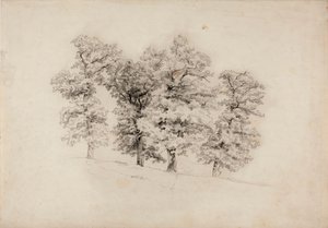 Ohne Titel von Werner Holmberg