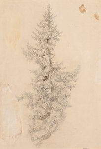 Ohne Titel von Werner Holmberg
