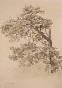 Ohne Titel von Werner Holmberg