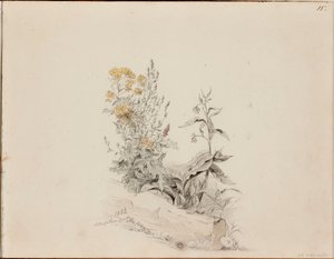 Ohne Titel von Werner Holmberg