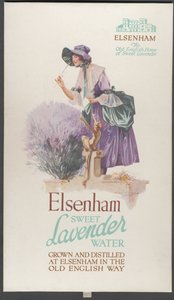 Elsenham Lavendel, 1920er Jahre von Wilfred Fryer