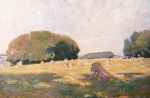 Heuhaufen auf einem Feld