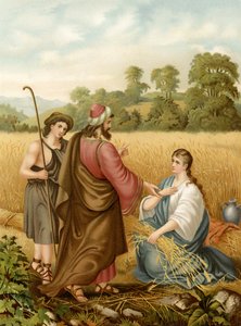 Ruth auf dem Feld von Boas von Wilhelm Ebbinghaus