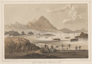 Ansicht von Hongkong von East Point, 1855 von Wilhelm Joseph Heine