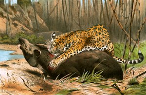 Jaguar tötet Tapir von Wilhelm Kuhnert