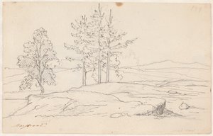 Schwedische Landschaft