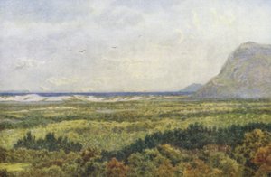 Constantia Valley und False Bay, mit Cape Point von Wilhelm Westhofen