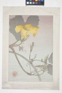 Blumenstudie