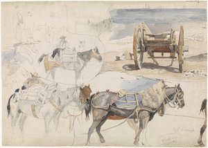 Studienblatt mit Muschelwagen am Strand und verschiedenen Studien von Pferden