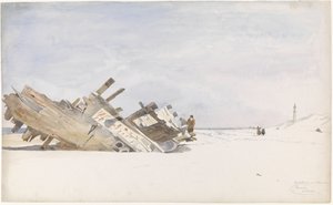 Treibholz am Strand von Renesse in Schouwen-Duiveland
