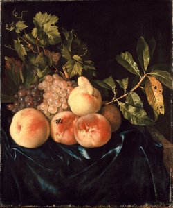 Stillleben mit Pfirsichen und Trauben, 1705 von Willem Frederiksz van Royen