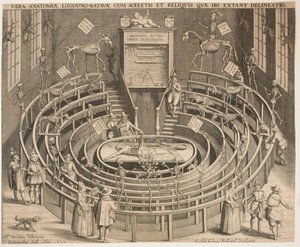 Der Saal des anatomischen Theaters in Leiden