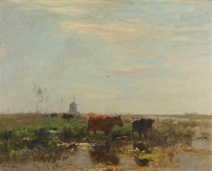 Wiese mit Kühen am Wasser