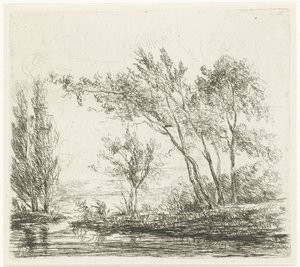 Landschaft mit Bäumen am Wasser