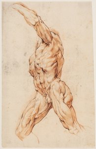 Anatomische Studie (écorchés). Gehender gehäuteter Mann nach links gewandt