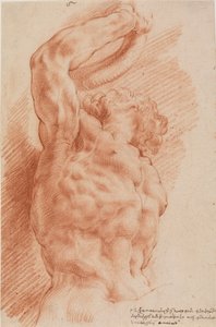 Laokoon. Laokoons Torso von unten rechts gesehen.