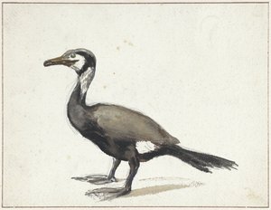 Kormoran von Willem Roelofs (I)