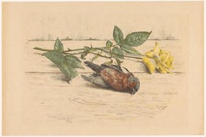 Toter Fink neben einer Rose