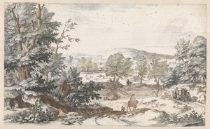 Waldlandschaft mit einem Weg